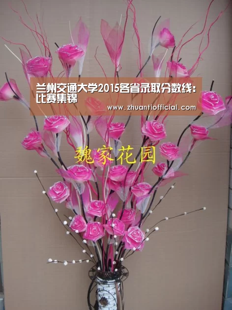 兰州交通大学2015各省录取分数线:比赛集锦(图3) 比赛集锦