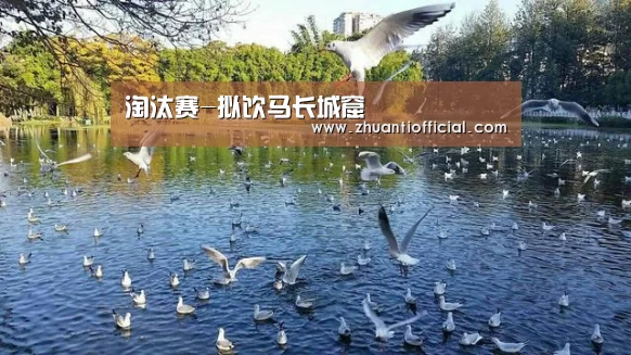 世界杯专题