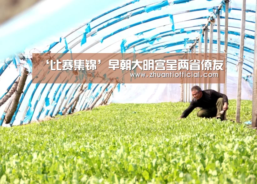 ‘比赛集锦’早朝大明宫呈两省僚友(图1) 比赛集锦